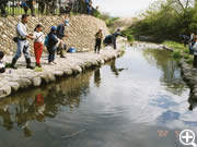 五戸川上流で親子の釣り大会