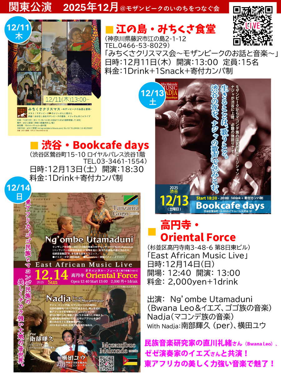 一般社団法人 モザンビークのいのちをつなぐ会